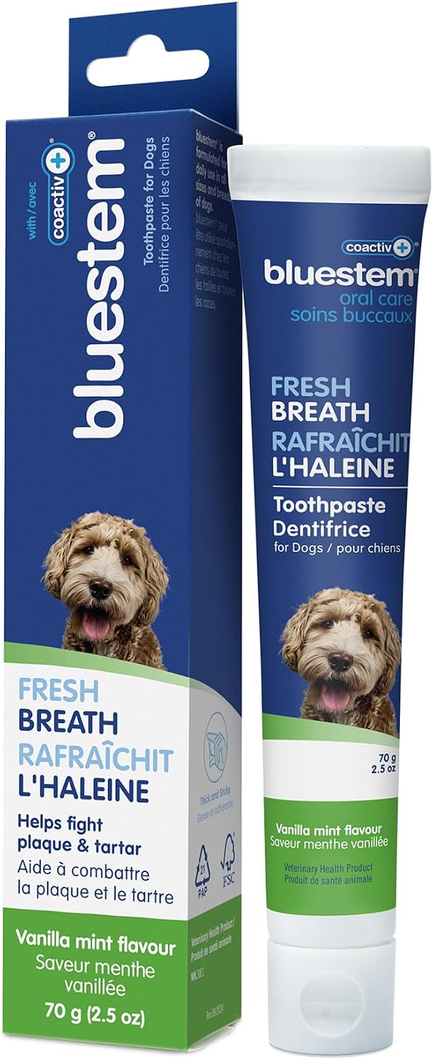 Dog Toothpaste : Chicken Flavor Tooth Paste for Dogs & Cats. Teeth Brushing Cleaner Pet Breath Freshener Oral Care Dental Cleaning Kit. Tartar & Plaque Remover Brushes