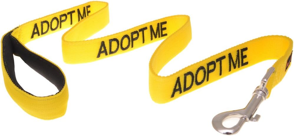 Adopt ME Yellow Color Coded 2 4 6 Foot Padded Dog Leash (New Home Needed) Donate to Your Local Charity (4 Foot Leash)
