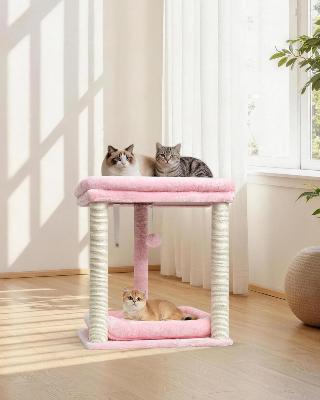 SYANDLVY Cat Tree with 2 Levels Perch Platforms for Indoor Cats Large Adult