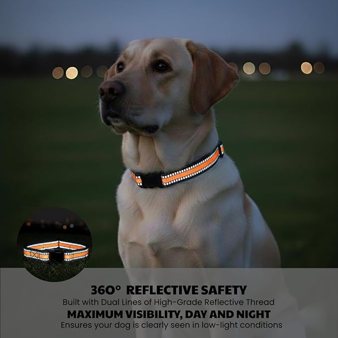 Dog Training Collar Replacement and Shock Collar Strap - Image 4