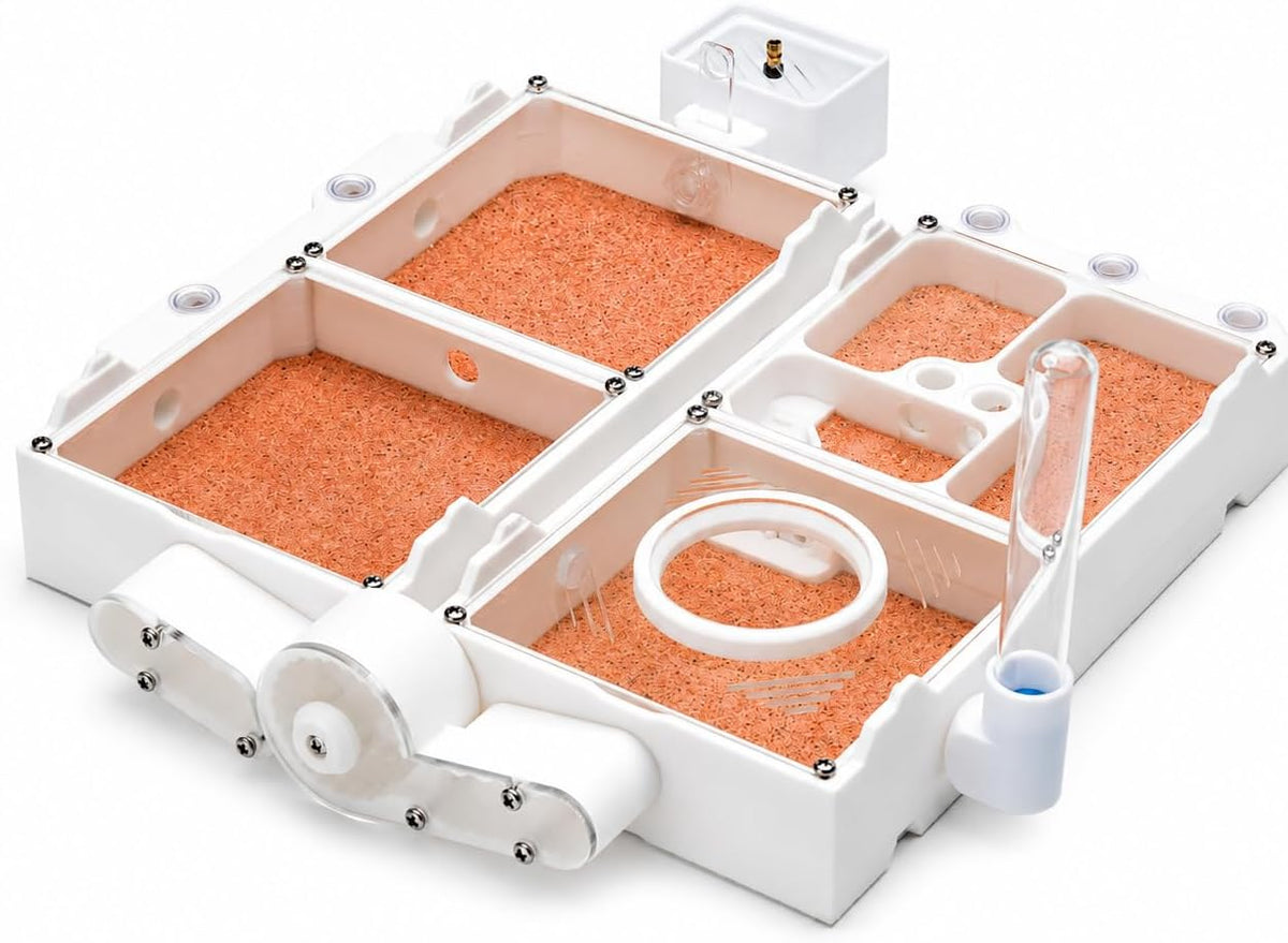 StackCore Stackable Series - White Habitat Combo (Flat Ant Nest) with Starter Tool Kit