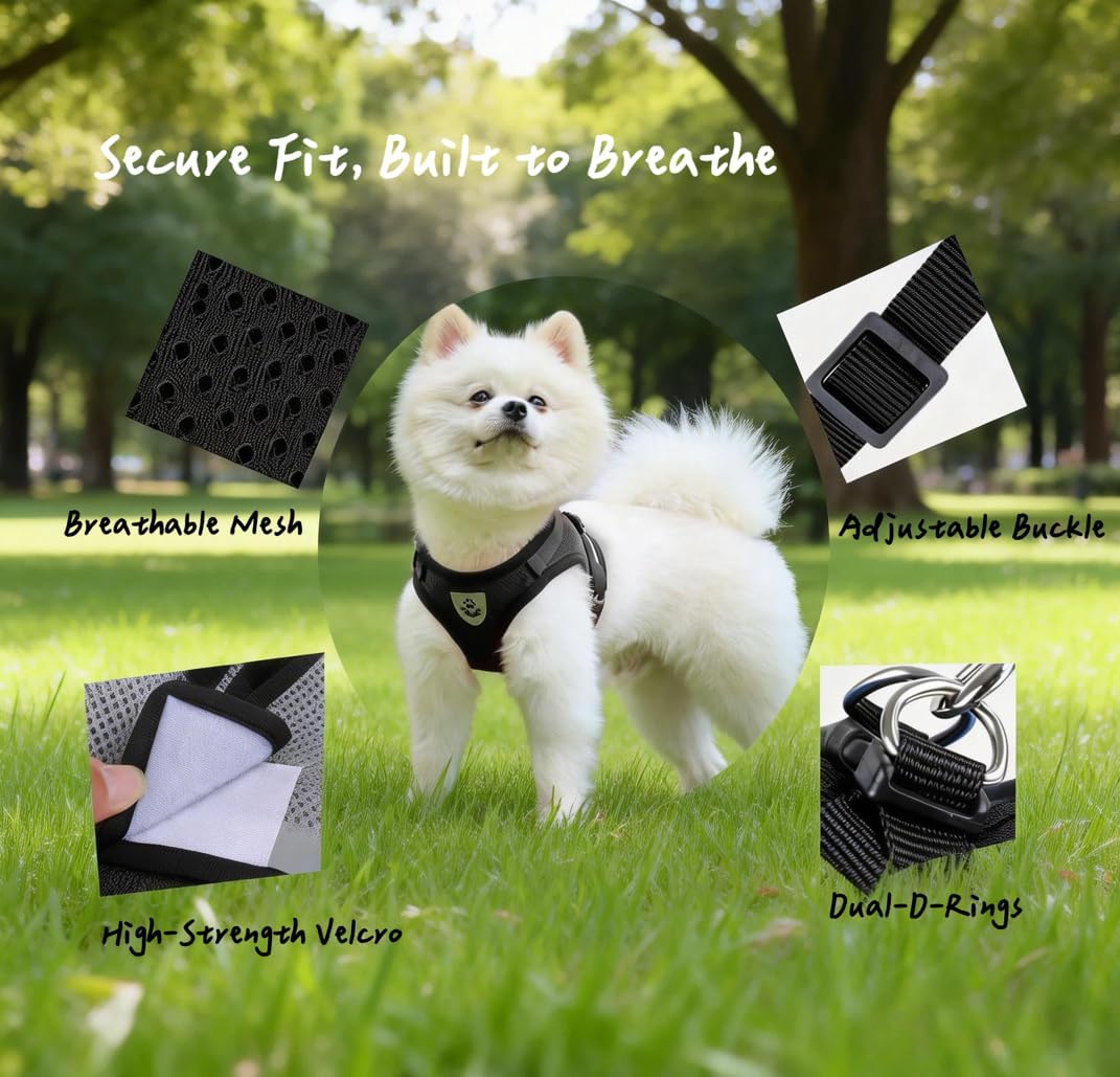 Pet Harness Vest with Leash for Small Medium Dogs Cats-No Pull Step-in Pet Vest Breathable Soft Lightweight Harness and Leash Set for Puppy Kitty Bunny-Black-L