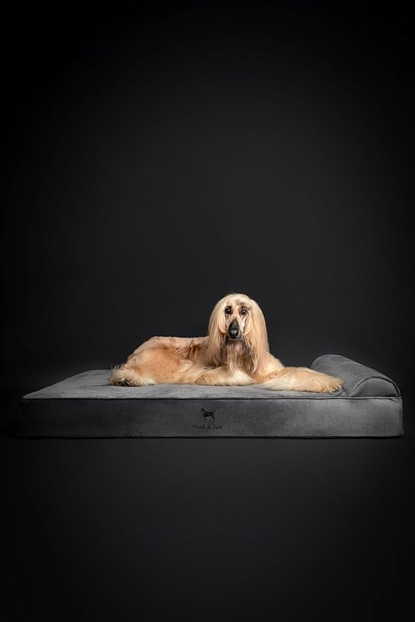 NOAH & PAW Giant Dog Bed XXL 55x45x9.5 Inch, Orthopedic Dog Beds, Eggshell - Image 8