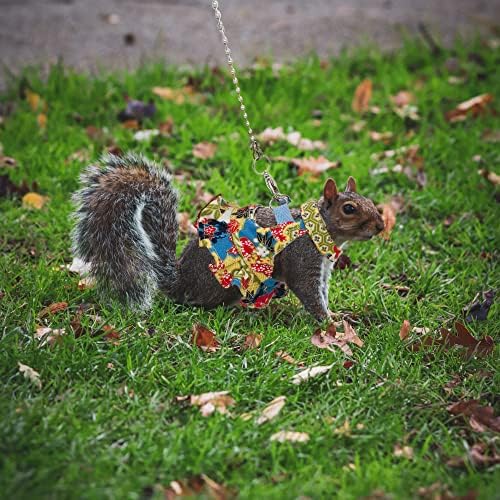 Squirrel Harness and Leash Set, Adjustable Flora Blue Printing, for Ferret, Squirrel, Dwarf Chinchilla, Guinea Pig, Fancy Rat