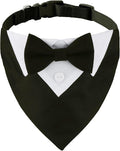 ADOGGYGO Formal Dog Tuxedo, Wedding Dog Collar by ADOGGYGO