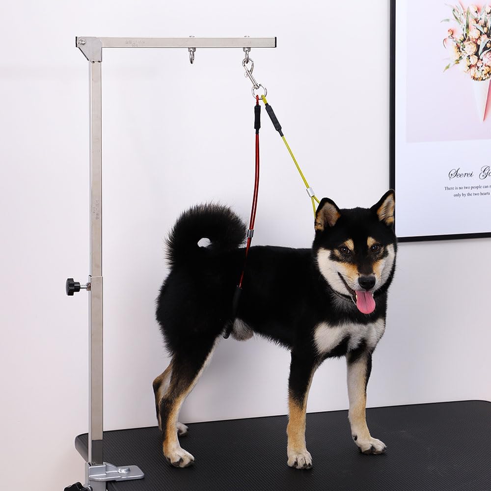 Pet Grooming Loop for Dogs - Fits Most No Sit Haunch Holder Pet Grooming Tubs and Tables Sturdy Steel Wire Rope(3 Packs) (Ring (Black)+No Sit Haunch Holder)