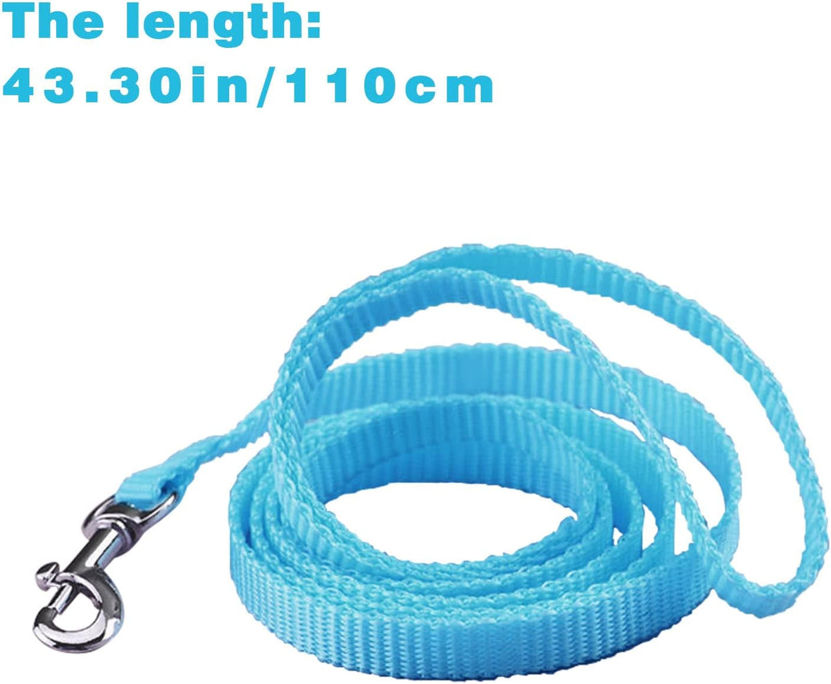 Adjustable Hedgehog Training Harness with Leash, Nylon Rope with Cute Radish, Outdoor Play Toy