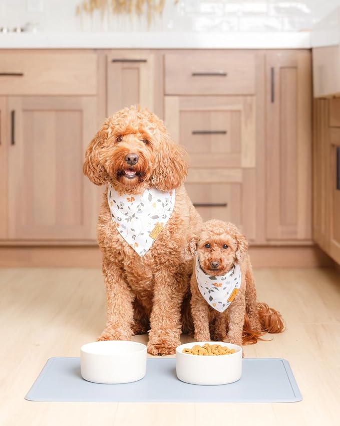 Remy+Roo Dusty Blue Silicone Dog Food Mat - Image 2