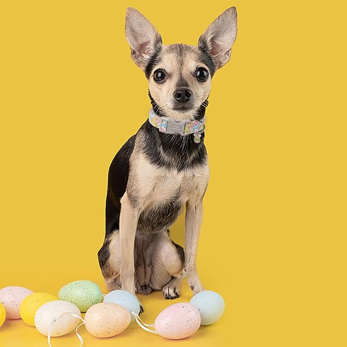 Unique style paws Easter Day Dog Collar Plastic Buckle Collar - Image 5
