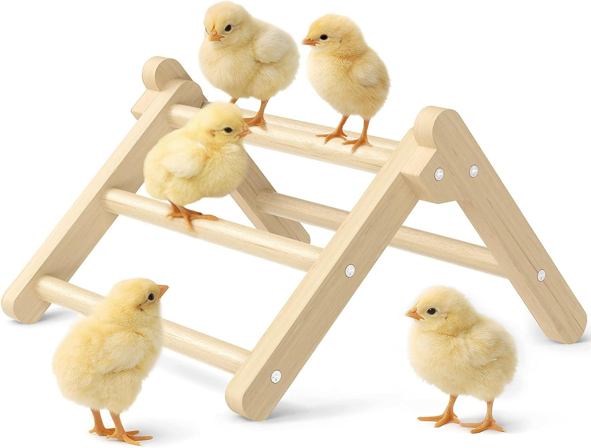 INNOLAND Chick Perch Foldable, Chick Toys Stable & No Assemble