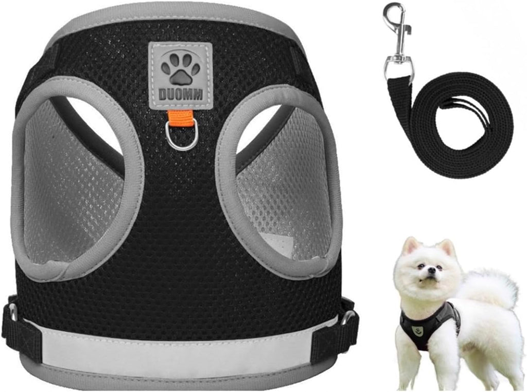 Pet Harness Vest with Leash for Small Medium Dogs Cats-No Pull Step-in Pet Vest Breathable Soft Lightweight Harness and Leash Set for Puppy Kitty Bunny-Black-L