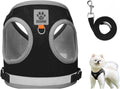 Pet Harness Vest with Leash for Small Medium Dogs Cats-No Pull Step-in Pet Vest Breathable Soft Lightweight Harness and Leash Set for Puppy Kitty Bunny-Black-L