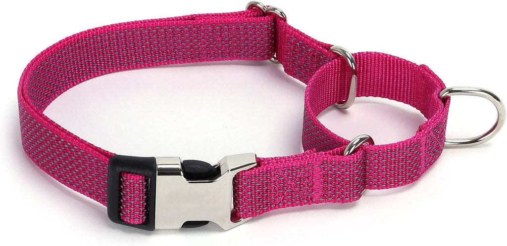 Reflective Martingale Dog Collar with Quick-Snap Metal Buckle