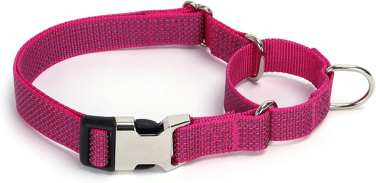 Reflective Martingale Dog Collar with Quick-Snap Metal Buckle
