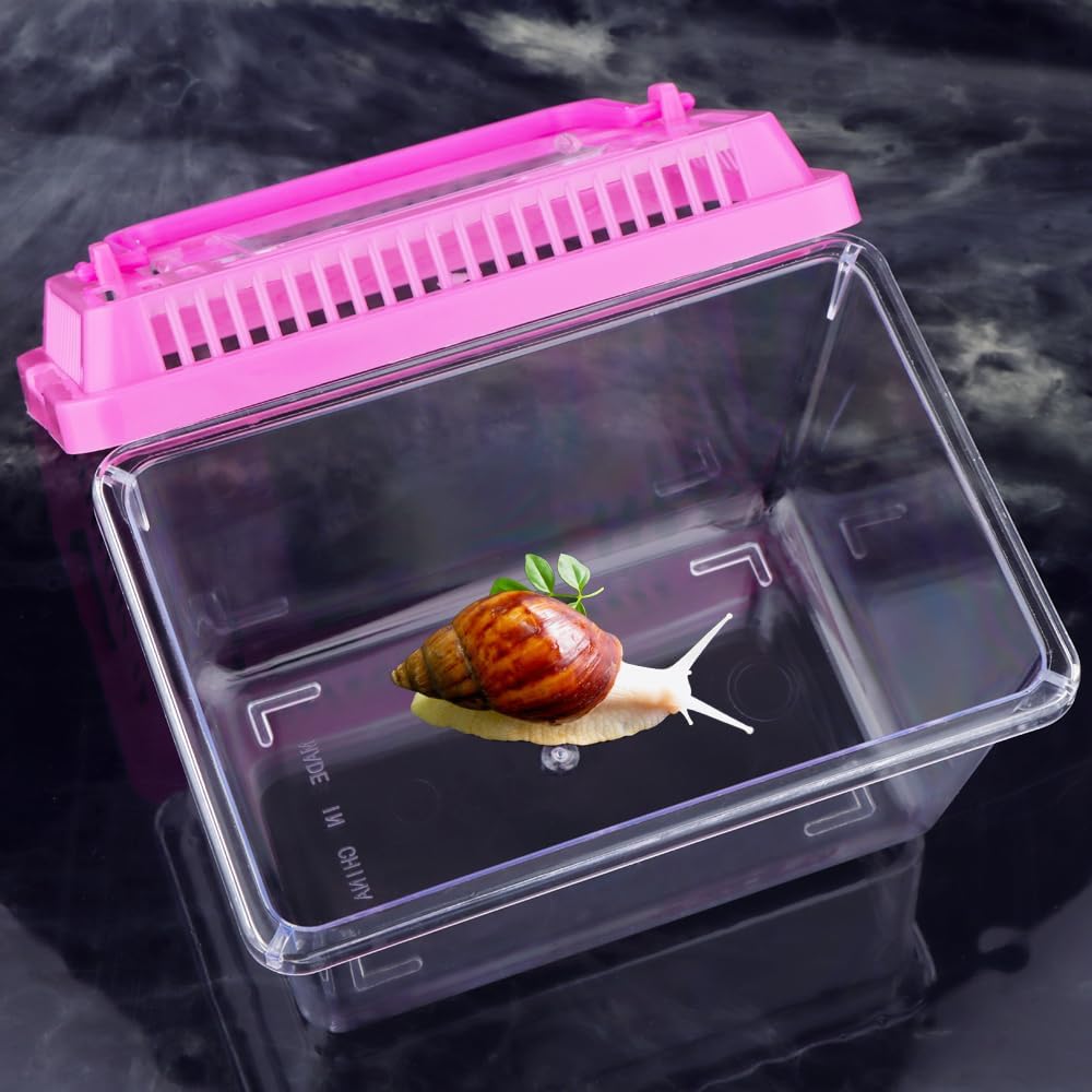 20 Pcs Plastic Reptile Terrarium Box Carrier Cage, 5.1×3.5×3.5in