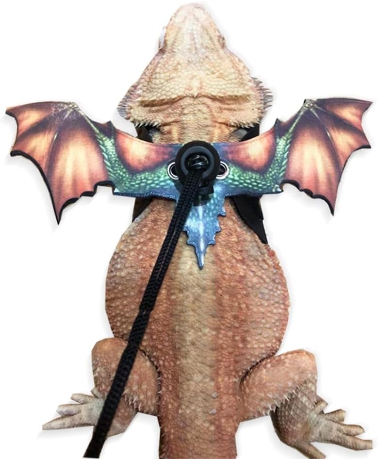 Bearded Dragon Leash, Adjustable Portable Reptile Leash with Cool Wings for Gecko, Bearded Dragon, Iguana, Hamster, Guinea Pig (S+M+L)