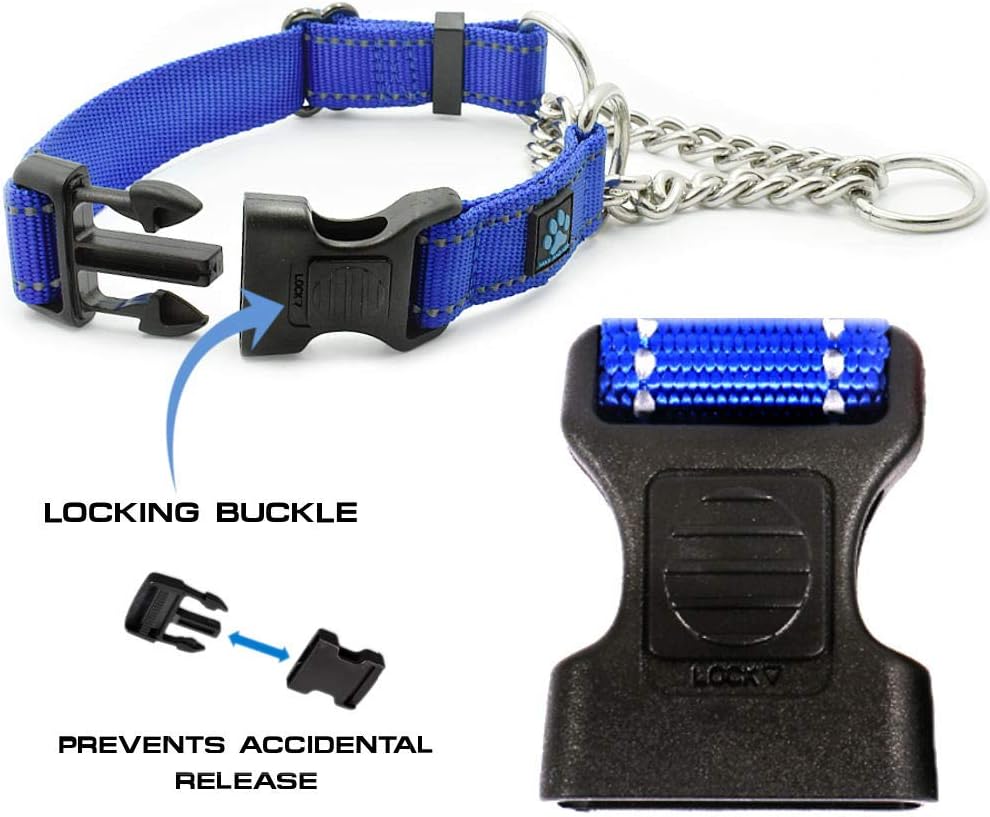 Max and Neo Stainless Steel Chain Martingale Collar - We Donate to a Dog Rescue for Every Collar Sold (Medium, Orange)