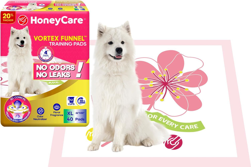 HoneyCare Vortex Funnel Pink Printed Training Pads XL 26x30 in, 40ct