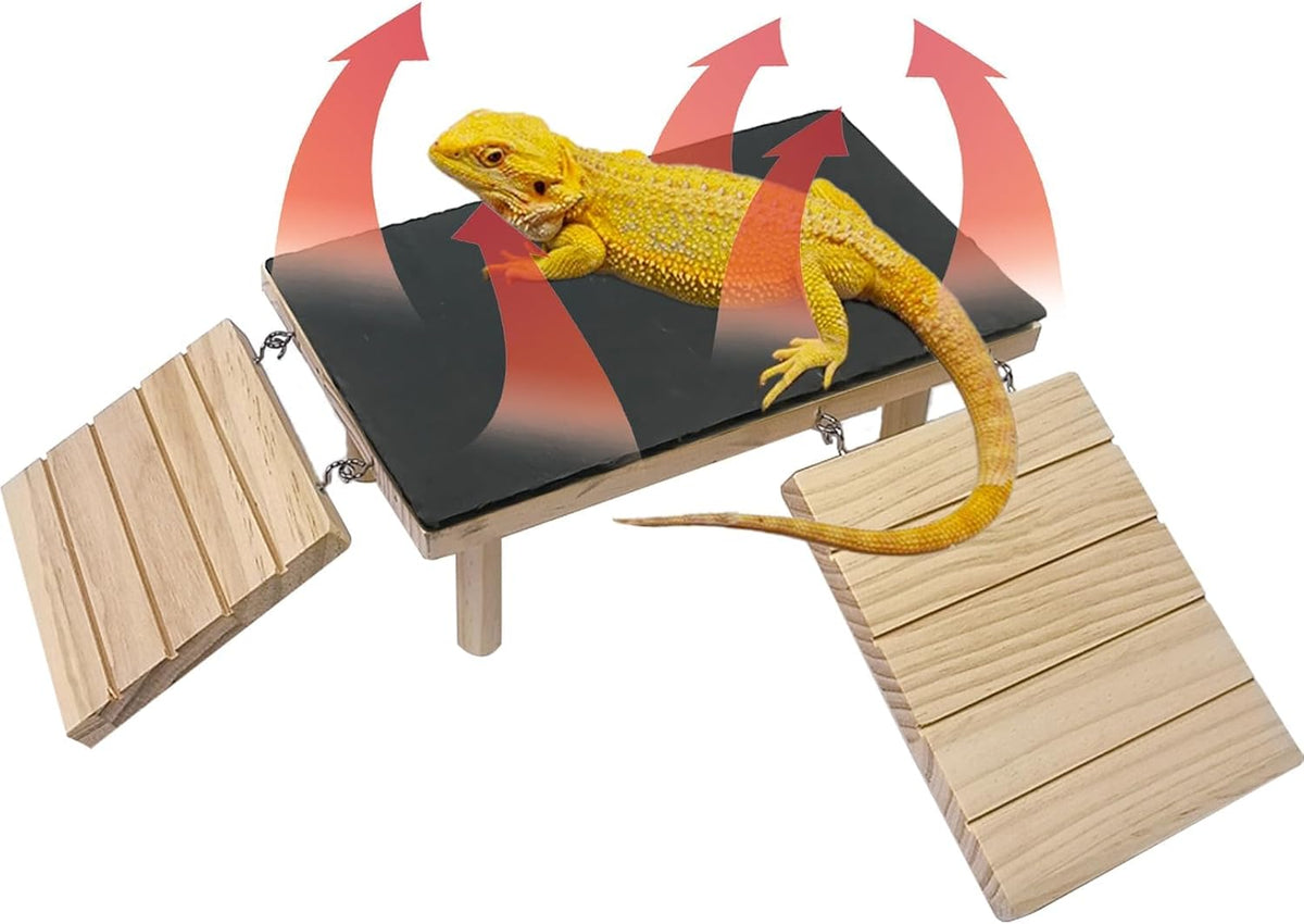 Reptile Bearded Dragon Basking Platform Rock with Climbing Ramp,S