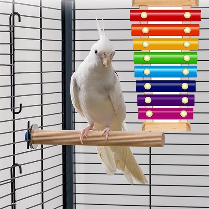 Bird Xylophone with Mirror & Bell Accessories - Image 7