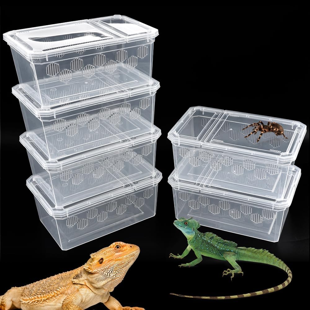 6 Pack Reptile Feeding Box Breeding Box Transparent Hatching Container Plastic Feeding Box for Small Reptiles Amphibians Spiders Scorpions Geckos Tortoises Treefrogs (Small Size)