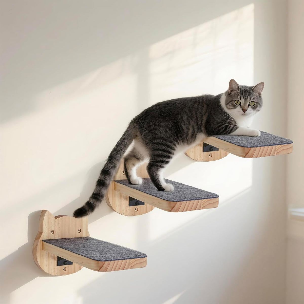 ESPETS Natural Solid Wood Cat Wall Floating Steps, Set of 3