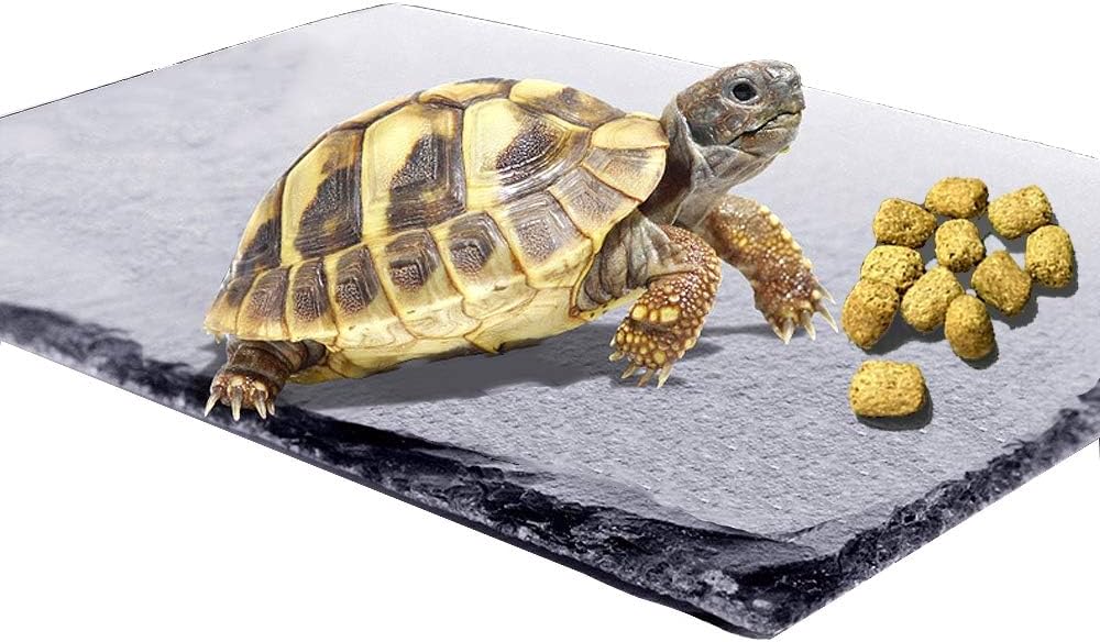 kathson 2 PCS Reptile Basking Platform (15.7 x 11.8 inches), Natural Rock Plate Turtle Food Bowl Feeding Dish Resting Terrace Habitat Decor for Tortoise Turtle Lizard Bearded Dragon Crested Gecko