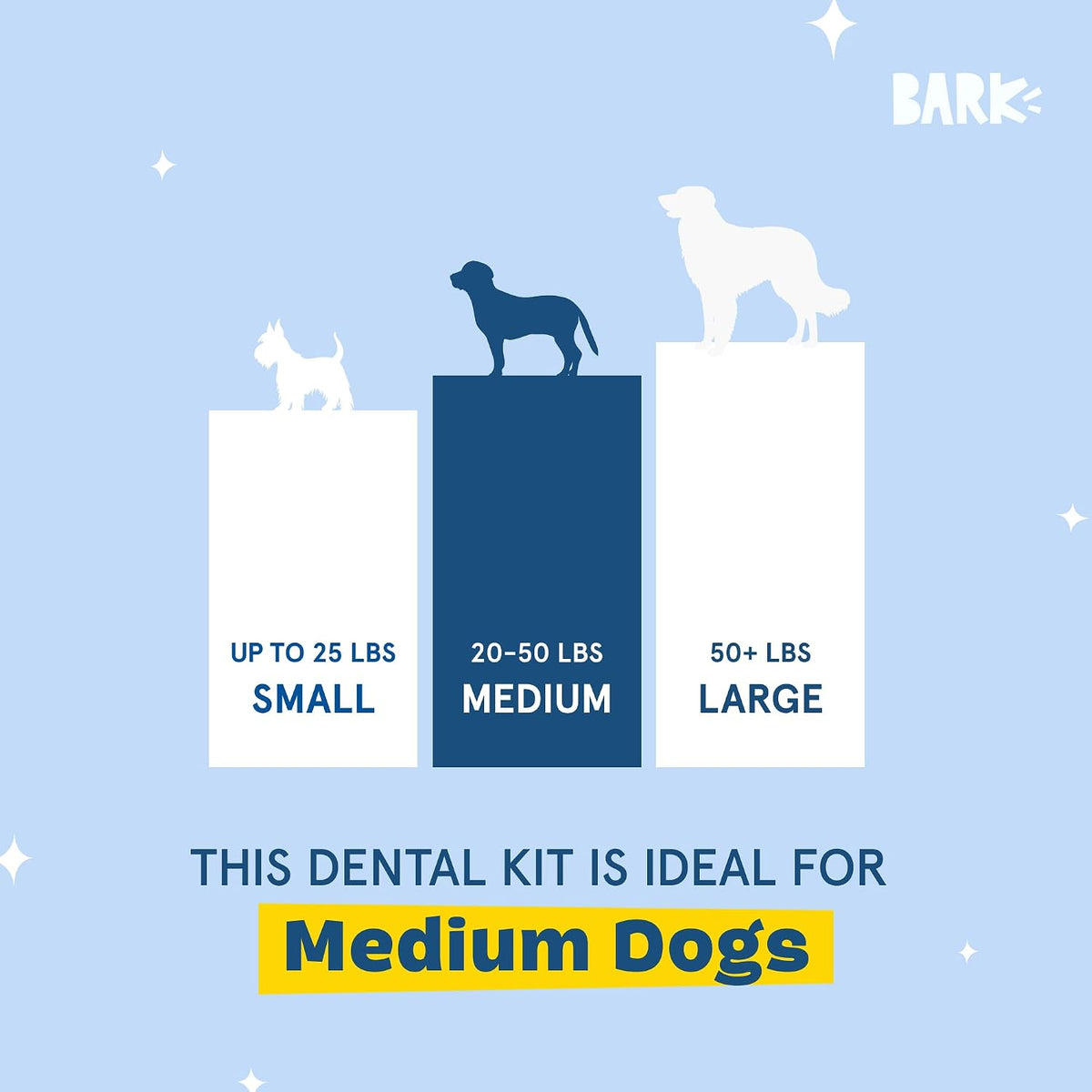BarkBox Bright Durable Dental Care Kit - for Medium Breeds (25-50 lbs)