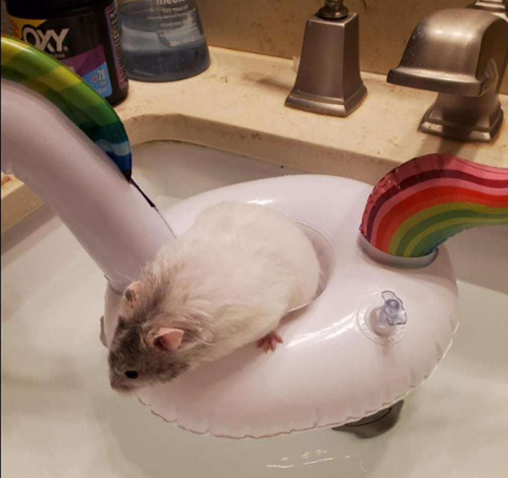 6Pcs Lizard Bath Float Bathtub Toys - Small Animal Toy Inflatable Float for Hedgehog Lizard Ferret Tortoise Small Pets Accessories Photo Shoot Toy Pet Supplies