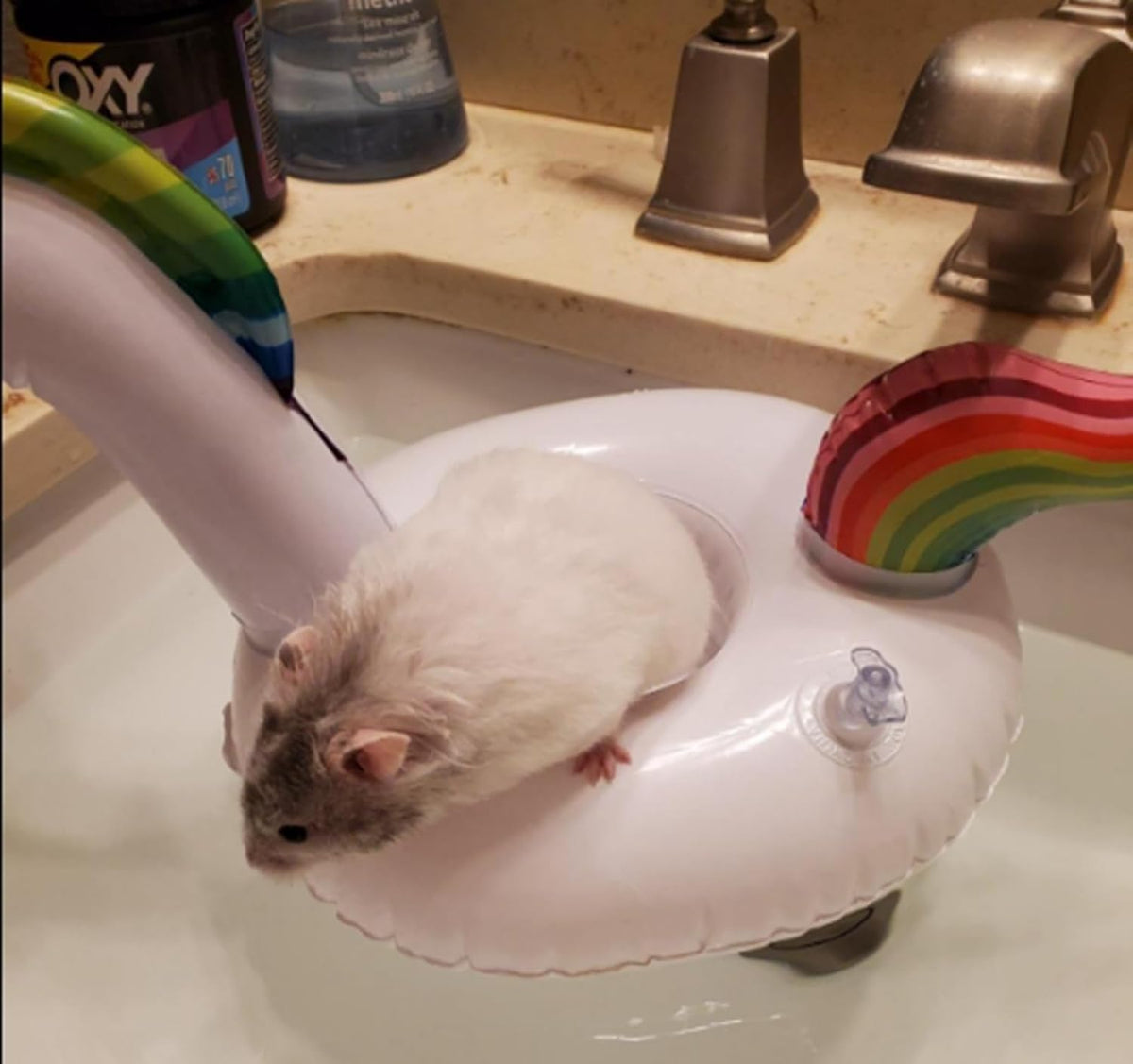 6Pcs Lizard Bath Float Bathtub Toys - Small Animal Toy Inflatable Float for Hedgehog Lizard Ferret Tortoise Small Pets Accessories Photo Shoot Toy Pet Supplies