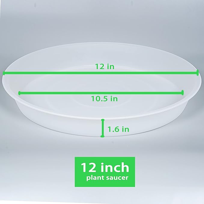 6 Pack of 12 inch Plant Saucer Clear, Heavy Duty Plastic Plant Saucer 12 inch - Image 2