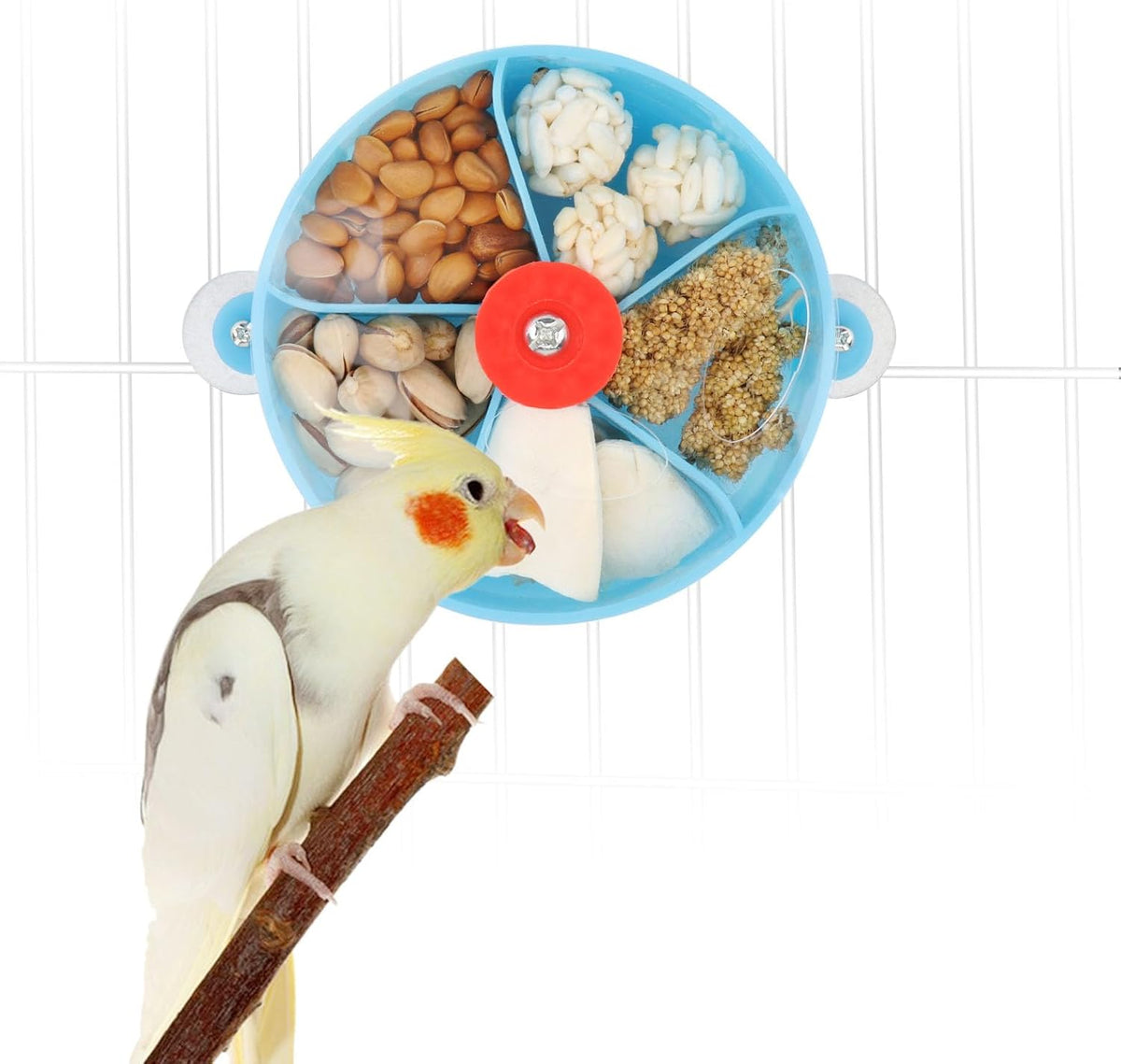 Bird Creative Foraging System Wheel Seed Food Ball Rotate Training Toy for Small and Medium Parrots Parakeet Cockatiel Conure (Clear)