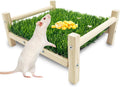 FlidRunest Wooden Rat Foraging Toys, Artificial Grass Foraging Mat for Rats, Safe Rats Enrichment Toys Activities, Boredom Relief Hanging Bed for Pet Rat