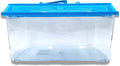 Needzo Hermit Crab Tank with Carrier Handles, Plastic Terrariums for Reptiles, Crabs, Lizards, and More, 12.5 inches