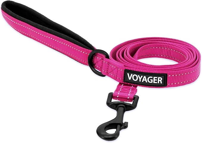Best Pet Supplies Voyager Reflective Dog Leash or Collar by BestPetSuppliesLLC