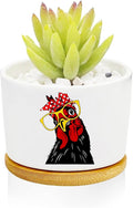 Window Garden Rooster Planter Pots, Rooster Gifts by Databa