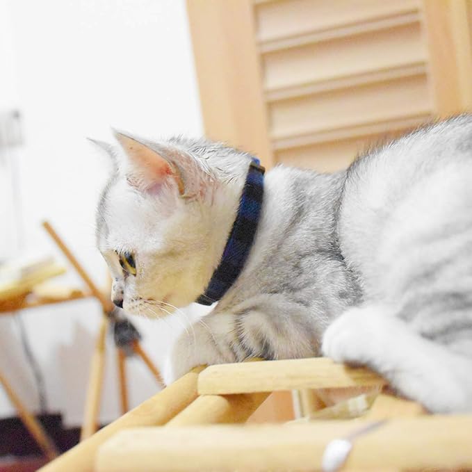 Breakaway cat Collars with Bell, Durable & Safe Cute Kitten Collars Safety - Image 6