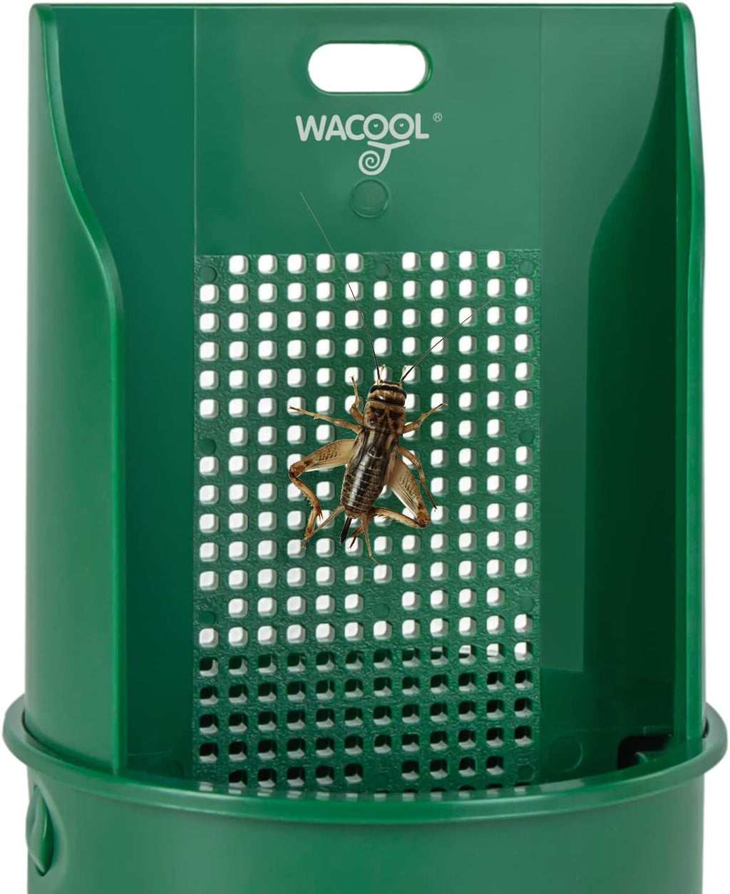 WACOOL Hanging Reptile Feeding Bowl with Grid Plate for Bugs Climbing & Move, Arboreal Reptile Climbing Feeder Bowl for Feeding Chameleon, Lizard, Iguana, Gecko, Frog