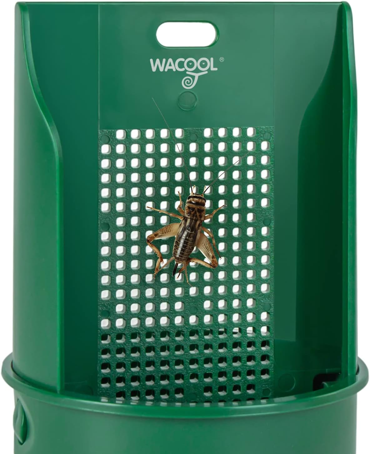 WACOOL Hanging Reptile Feeding Bowl with Grid Plate for Bugs Climbing & Move, Arboreal Reptile Climbing Feeder Bowl for Feeding Chameleon, Lizard, Iguana, Gecko, Frog