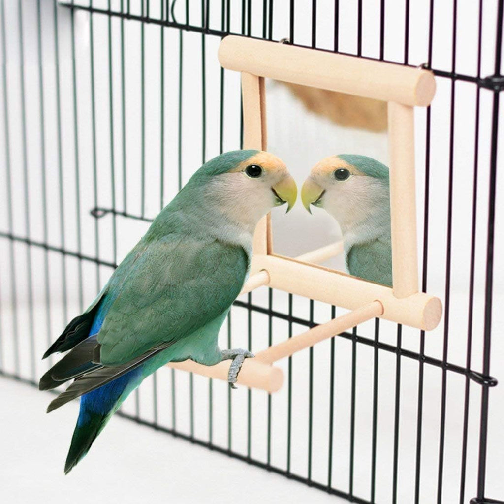 Litewoo Bird Mirror with Perch Parrot Swing Interactive Play Toys, 2 PC