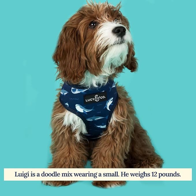 Lucy & Co. Reversible Dog Harness Walking Halter - Image 6