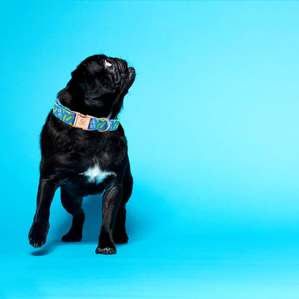 Dog Collar, Blue Bear Pattern Pet Collar Durable Cute Dog Collars Male or Female Pet Gift Adjustable Dog Collar for X-Large Dogs