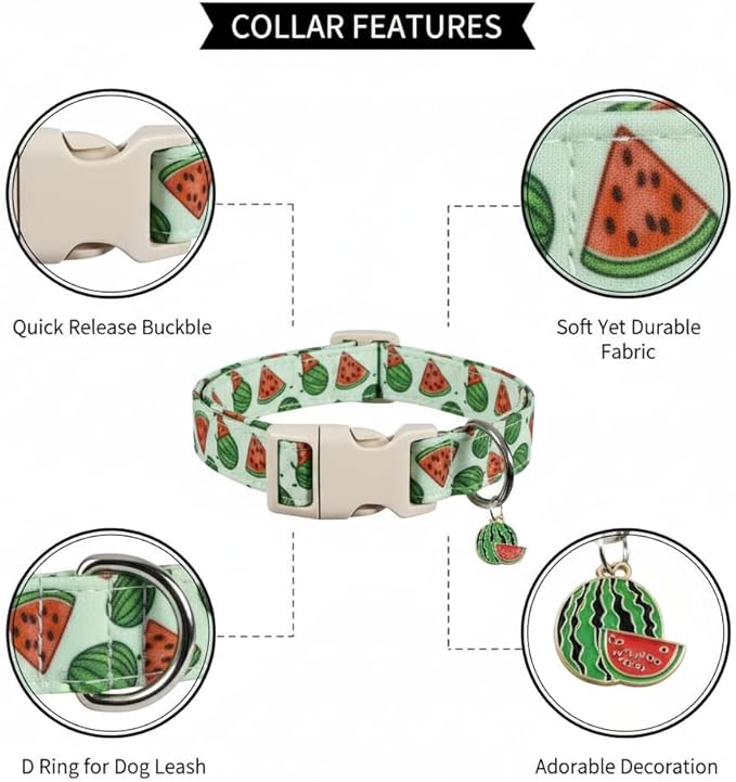Dog Collar for Small Dogs, Summer Dog Collar - Image 2
