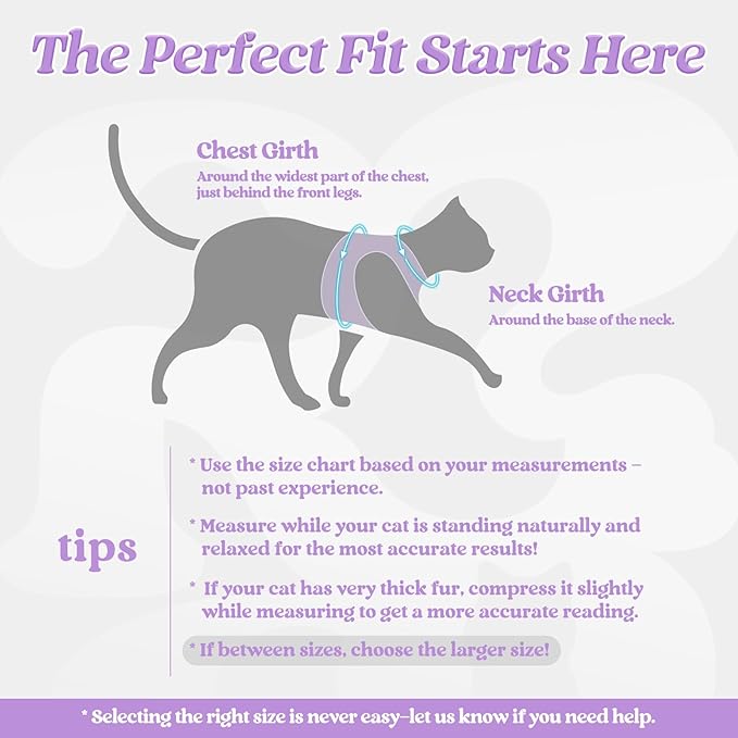 rabbitgoo Cat Harness and Leash Set - Image 2