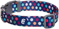 Blueberry Pet Essentials Rainbow Polka Dots Adjustable Dog Collar, Neck 18"-26" by BlueberryPet