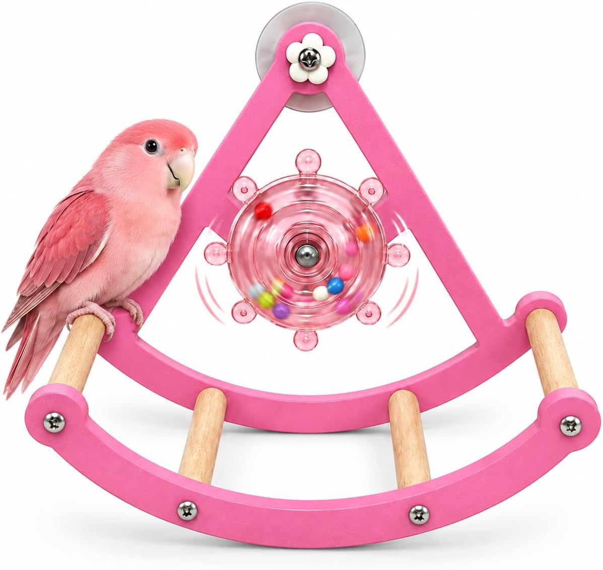 Rocking Bird Perch Toy - Interactive Bird Swing