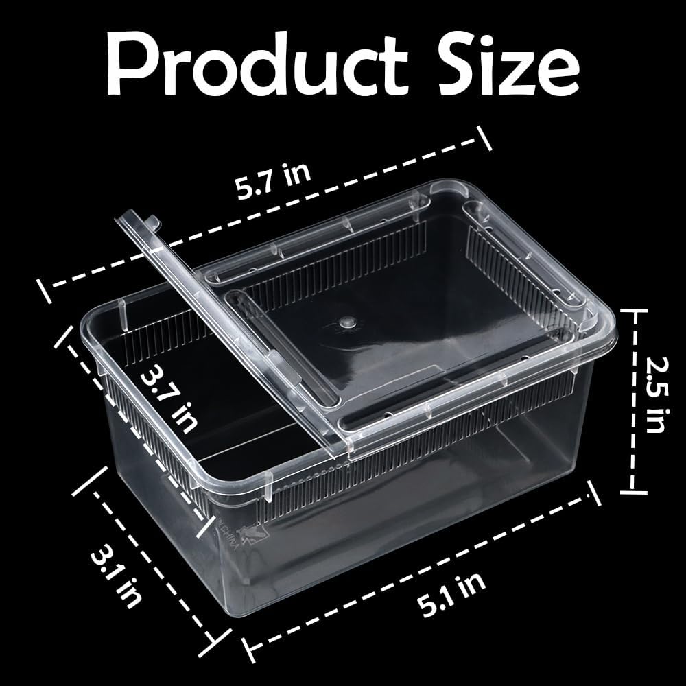 5 Pack Small Reptile Terrarium Breeding Box Transparent Hatching Container Plastic Feeding Box for Gecko Frog Spider Scorpion Centipede Insect