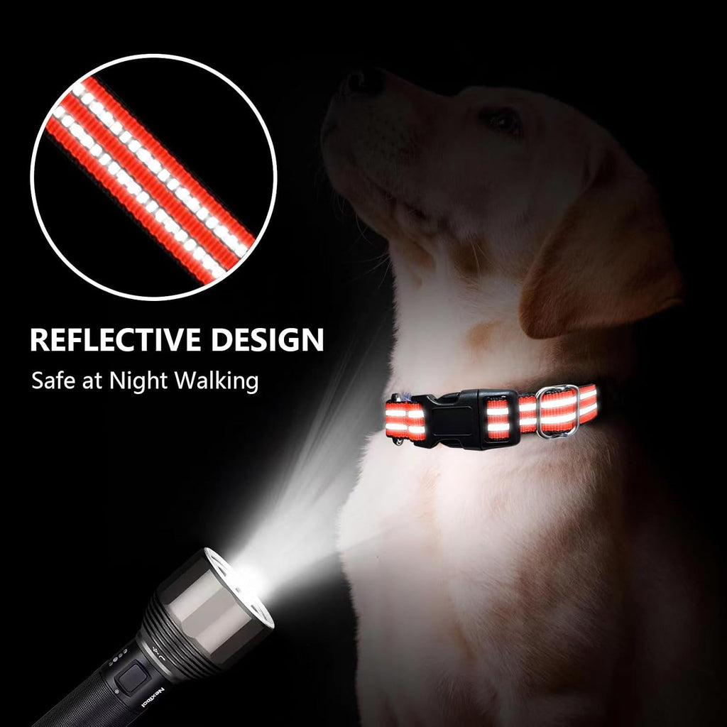 Martingale Collar for Dogs,No Pull No Choking(Bright Orange,L)