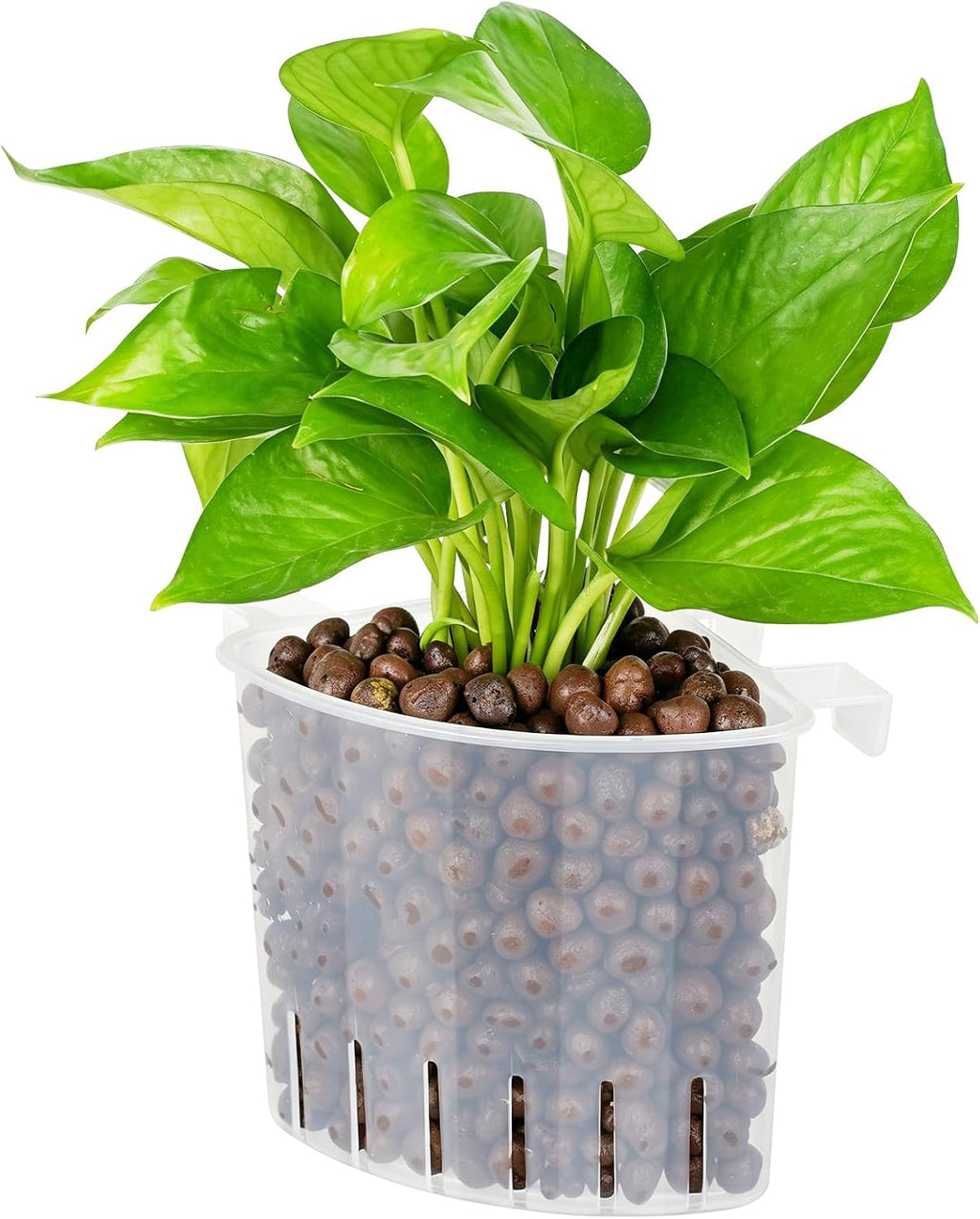 Borlech 2026 Latest Model Large Aquarium Corner Planter Hanging Plant Holder for Fish Tank Aquaponic Plant Cultivation and Aquascape Accessories Decorations (4 Pack) Black