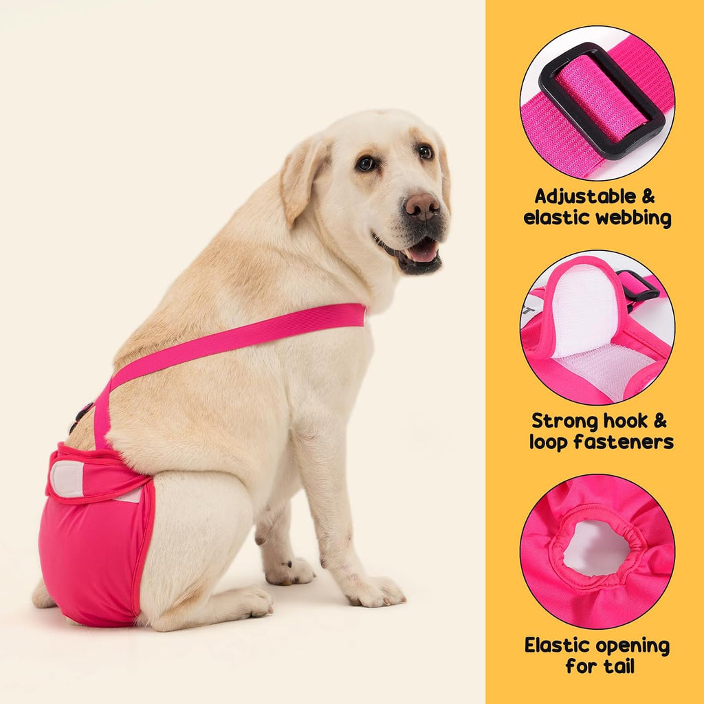 Avont 3 Pack Washable Female Dog Diaper with Suspender - M